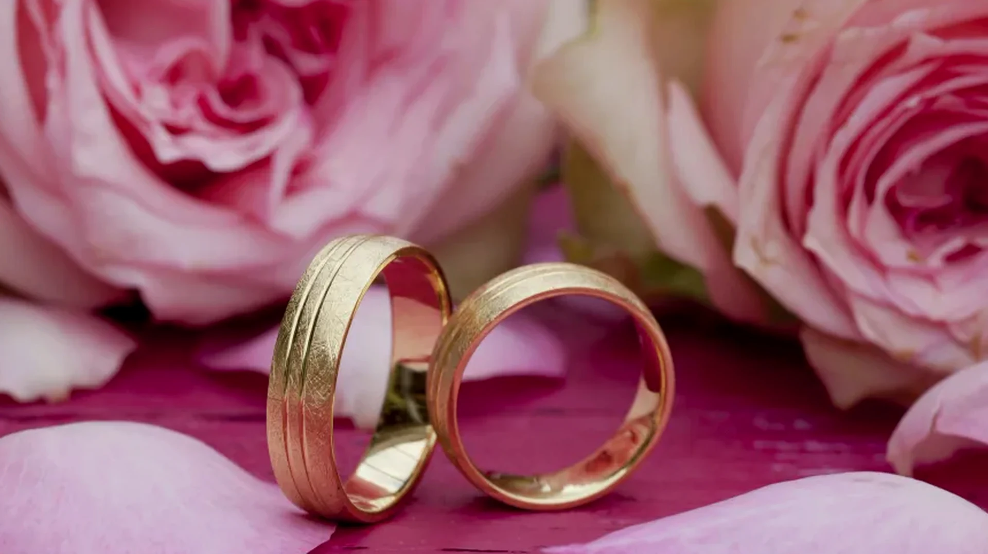 Wedding rings on rose petals